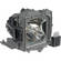 InFocus SPLAMP017 Projector Replacement Lamp