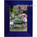 Dennis-Daniels Basic Wood Picture Frame with Angled Molding - 3.5 x 5" - Blue