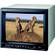 JVC TMH-150CGU 15-Inch Color Production Monitor