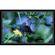 Vutec Silver Star Fixed Frame Projection Screen - 45 x 80"