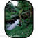 Botero #C703 5x7' Scenic Background