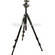Manfrotto by Bogen Imaging 3021BPRO Tripod (Black) with 488RC2 Ballhead