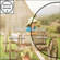 Nikon FF-CP11 ND4 4x Neutral Density Filter for Coolpix 8800 Camera