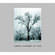 Little Brown Book: Ansel Adams at 100