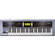 Roland GW-7 - 61-Key Arranger/Workstation USB/MIDI Keyboard