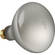 Altman 300 Watt, 120 Volt Flood Lamp