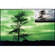 Cokin Z-Pro 004 Green Resin Filter for Black & White Film