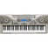 Casio CTK-900 - 61-Key Personal Arranger Keyboard