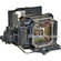 Sony LMP-C162 Projector Replacement Lamp