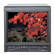 JVC DT-V100CGU 10-Inch Video Monitor