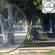 Formatt Low Contrast Filter (72mm)  