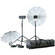 Bowens Esprit Gemini Two Monolight Kit (230VAC/12VDC)
