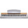 Yamaha P140S - 88-Key Digital Piano -  Cherry Wood/Silver