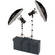 Photogenic StudioMax III Basic Studio 2 Monolight 320 Total W/S Kit (120V)