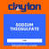 Clayton Sodium Thiosulfate - 1 Lb.