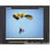 Marshall V-R104DP-HD 10.4" HD Field Monitor with Multiformat Inputs