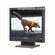 Panasonic WV-LC1710 17-Inch LCD CCTV Monitor