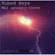 Big Fish Audio Sample CD: Tubed Keys - Mk I 73 (Giga)