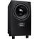 Adam Professional Audio Sub10 MK2 - 300W 10-Inch Subwoofer