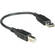 Hosa Technology USB 2.0 Cable A to B - 6" (15.24 cm)