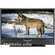 JVC HD56G787 56" 16:9 HD-ILA Rear Projection TV 720p