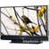 JVC HD-61FN97   61" 1080p Projection TV