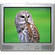 Sansui DTV2760 27" CRT TV