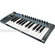 Novation XioSynth 25 - 25-Key Synthesizer and USB MIDI Controller