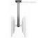 Bretford Mounting Pole for Flat Panel Ceiling Mount - 0 x 36 x 0"  
