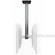 Bretford Mounting Pole for Flat Panel Ceiling Mount - 0 x 48 x 0"  