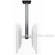 Bretford Mounting Pole for Flat Panel Ceiling Mount - 0 x 60 x 0"  