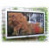 Sanyo CE42LM4WPNNA 42" Waterproof LCD Monitor