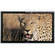 Panasonic TH65PF9UK  65" Plasma Display