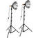 Impact Fluorescent Two Flood Light Light Kit (120VAC)
