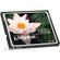 Kingston 1GB Standard CompactFlash Memory Card