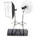 Bowens Esprit Gemini Digital Two Monolight Kit (120VAC/12VDC)