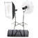 Bowens Esprit Gemini Digital Two Monolight Kit (120VAC/12VDC)