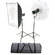 Bowens Esprit DX Two Monolight Kit (120VAC)