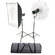 Bowens Esprit DX Two Monolight Kit (120VAC)