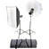 Bowens Gemini 250 Watt/Second Two Monolight Kit (120VAC/12VDC)