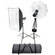Bowens Gemini 250 Watt/Second Two Monolight Kit (120VAC/12VDC)