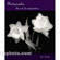 Amphoto Book: Photography: The Art of Composition