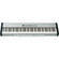 Ketron GP10 - 88-Key Digital Piano w/ Hammer Action (Cherry/Gold)