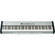 Ketron GP10 - 88-Key Digital Piano w/ Hammer Action (Black/Silver)