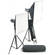 Elinchrom D-Lite2 Two Monolight Kit (110-220VAC)