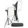 Elinchrom D-Lite4 Two Monolight Kit (90-260VAC)
