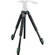 Swarovski CT-101 Carbon Fiber Tripod Legs