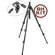 Manfrotto by Bogen Imaging 190XPROB Tripod Legs (Black) with 804RC2 3-Way Pan/Tilt Head