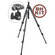 Manfrotto by Bogen Imaging 190XPROB Tripod Legs (Black) with 484RC2 Mini Ballhead