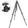 Manfrotto by Bogen Imaging 190XPROB Tripod Legs (Black) with  486RC2 Compact Ballhead